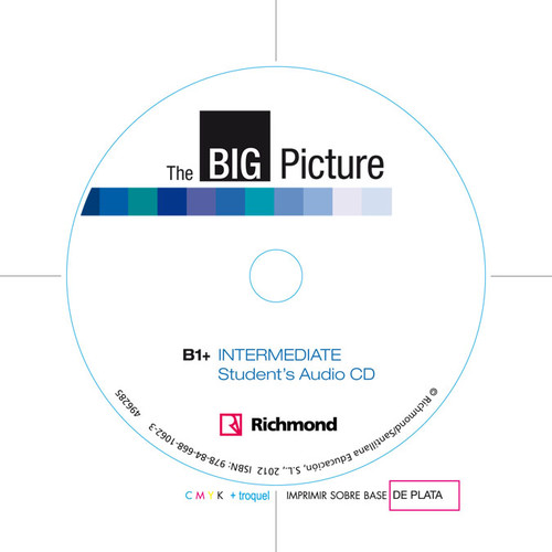 Libro Big Picture Intermediate Workbook Pack (Workbook & Stude Bess Bradfield