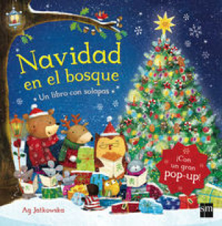 Book Navidad en el bosque Ag Jatkowska