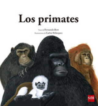 Książka Los primates Fernando Bort Misol