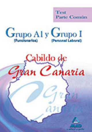 Książka Cabildo de Gran Canaria, Grupo A1 (funcionarios) y Grupo I (personal laboral). Test parte común Fernando Martos Navarro