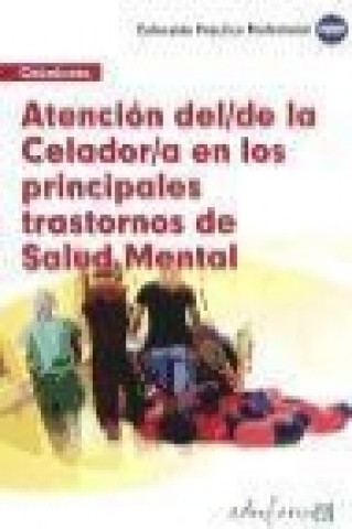 Book Atención de celador en los principales trastornos en salud mental Luis . . . [et al. ] Silva García