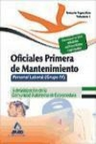 Книга Oficiales Primera de Mantenimiento. Personal laboral (Grupo IV) de la Administración de la Comunidad Autónoma de Extremadura. Temario específico volum 