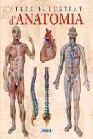 Kniha Atles il·lustrat d'anatomia 