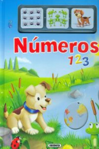 Knjiga Números Apsley