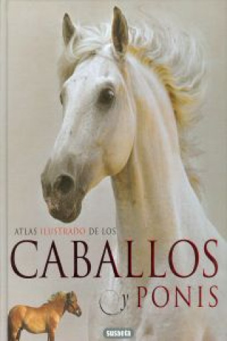 Kniha Caballos y ponis 