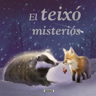 Book El teixo misterios 