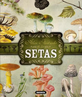 Kniha Atlas Ilustrado de Las Setas Susaeta Publishing Inc