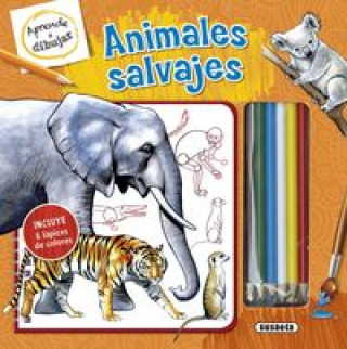 Kniha Animales salvajes 