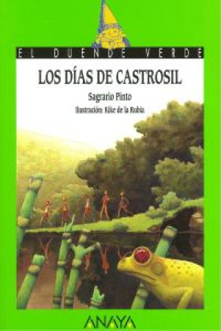 Kniha Los dias de castrosil Sagrario Pinto