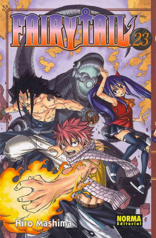 Carte Fairy tail 23 Hiro Mashima