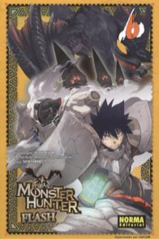 Kniha MONSTER HUNTER FLASH 06 KEIICHI HIKAMI