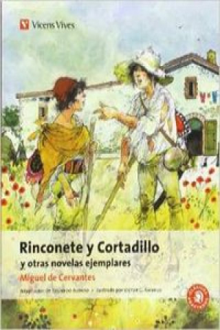 Carte Rinconete y Cortadillo y otras Novelas Ejemplares Miguel de Cervantes Saavedra