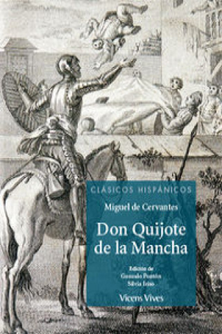 Kniha DON QUIJOTE DE LA MANCHA (CLASICOS HISPANICOS) CERVANTES