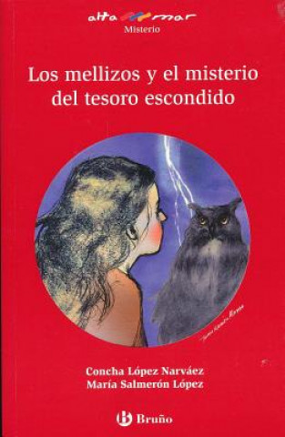 Book Los Mellizos y El Misterio del Tesoro Escondido Concha Lopez Narvaez