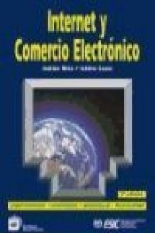 Boek Internet y comercio electrónico Julián Briz Escribano
