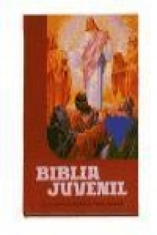 Carte Biblia juvenil Mary Theola