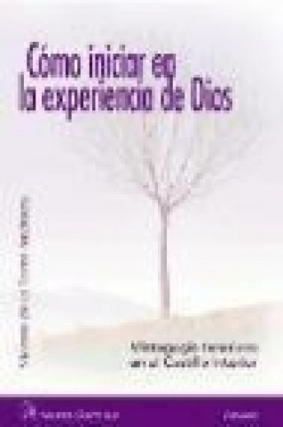 Buch Cómo indicar en la experiencia de Dios Vicente de la Torre Andueza