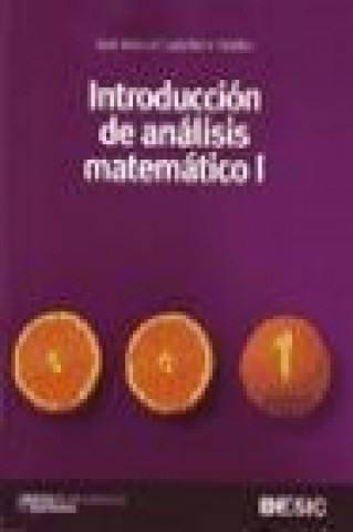 Carte Introducción al análisis matemático I José Manuel Casteleiro Villalba