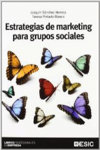 Könyv Estrategias de marketing para grupos sociales Teresa Pintado Blanco