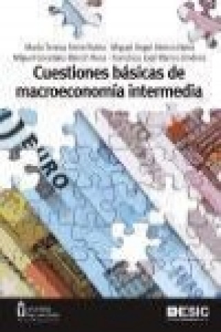 Knjiga Cuestiones básicas de macroeconomía intermedia María Teresa Freire Rubio