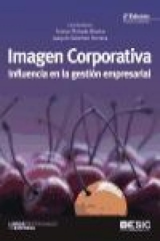 Carte Imagen corporativa : influencia en la gestión empresarial María Teresa . . . [et al. ] Pintado Blanco