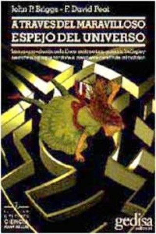 Carte A través del maravilloso espejo del universo John P. Briggs