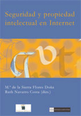 Buch Seguridad y propiedad intelectual en Internet 