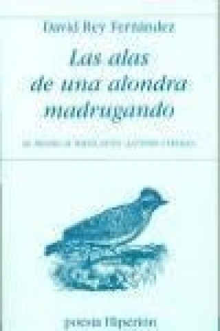 Kniha Las alas de una alondra madrugando David Rey Fernández