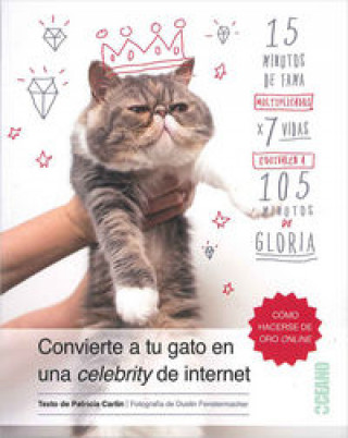 Kniha Convierte a tu gato en una celebrity de internet 