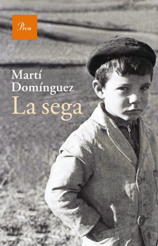 Könyv La sega MARTI DOMINGUEZ