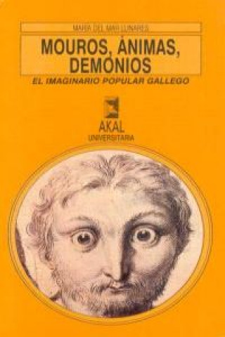 Könyv Nouros, ánimas, demonios : el imaginario popular gallego María del Mar Llinares García