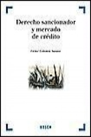 Boek Derecho sancionador y mercado de crédito : con los cambios producidos tras la creación del Banco Central Europeo Víctor Celemín Santos