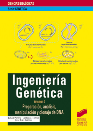 Kniha Preparación, análisis, manipulación y clonaje de DNA 