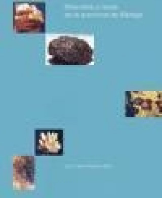 Kniha Minerales y rocas de la provincia de Málaga Juan Carlos Romero Silva