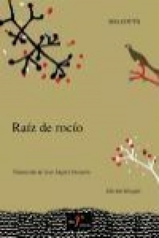 Buch Raíz de rocío Mia Couto