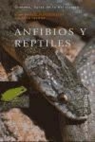 Carte Antibios y reptiles Mónica Feriche Fernández-Castanys