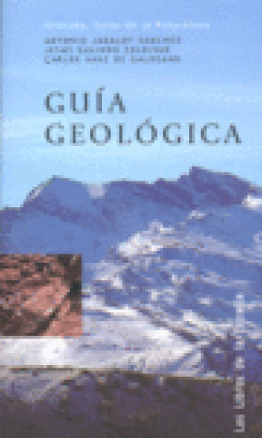 Kniha Guía geológica Jesús Galindo Zaldívar