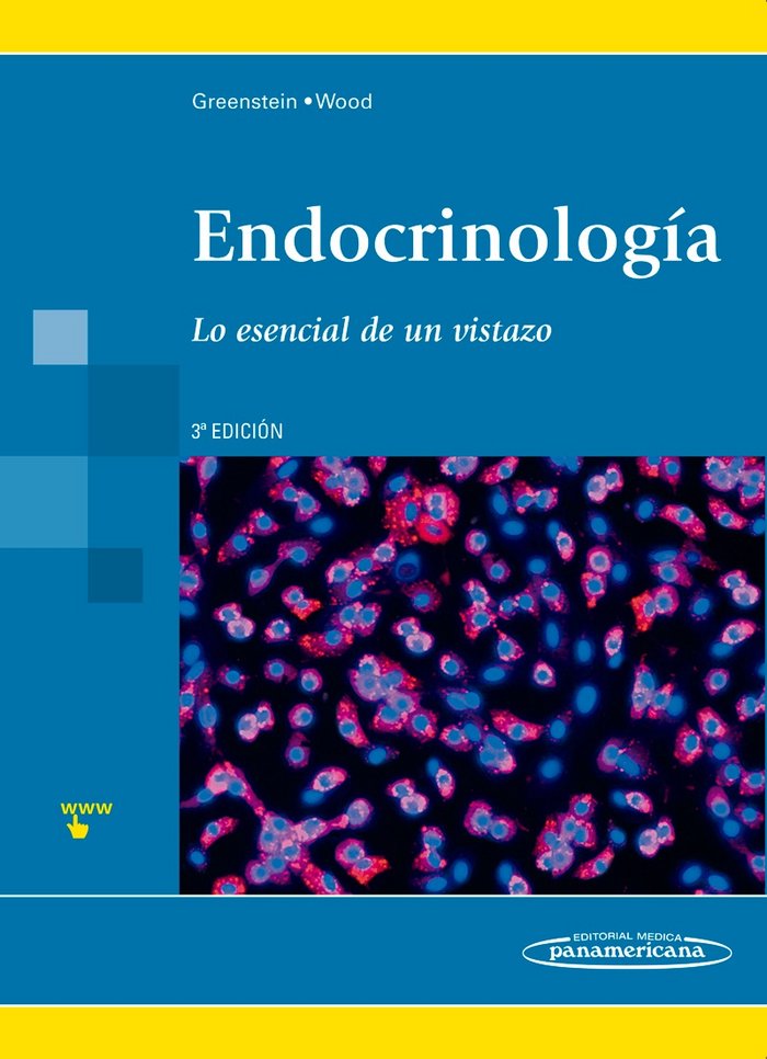 Könyv EL SISTEMA ENDOCRINO 