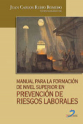 Knjiga Manual para la formación de nivel superior en prevención de riesgos laborales Juan Carlos Rubio Romero