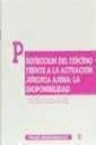 Buch Protección tercero frente actuación jurídica ajena : inoponibilidad Luis-Felipe Rajel Sánchez