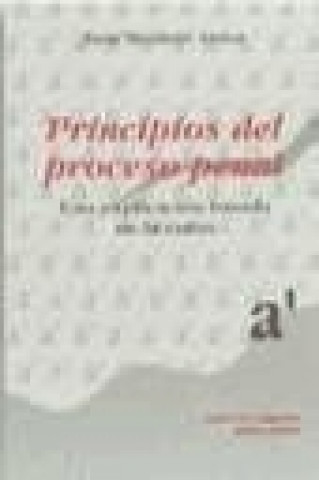 Könyv Principios del proceso penal : una explicación basada en la razón Juan . . . [et al. ] Montero Aroca