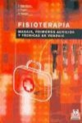 Buch Fisioterapia : masaje, primeros auxilios y técnicas de vendaje Eva Nieto Silva