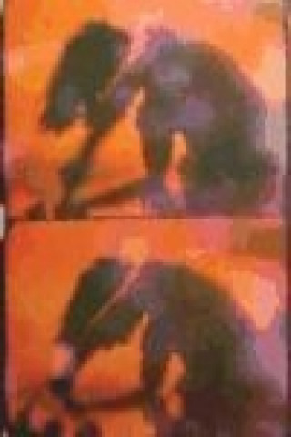 Knjiga Stan Brakhage 