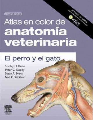 Könyv Atlas en color de anatomía veterinaria : el perro y el gato Stanley H. Done