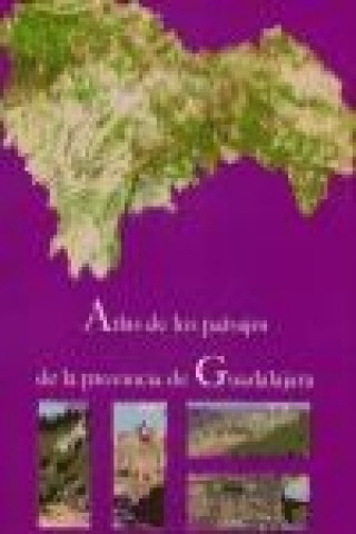 Könyv Atlas de los paisajes de la provincia de Guadalajara 