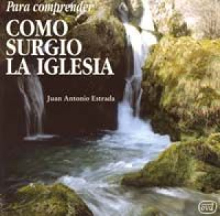 Book Para comprender cómo surgió la Iglesia Juan A. Estrada