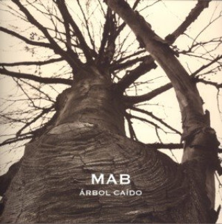 Buch Miguel Ángel Blanco, Árbol caído 