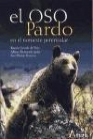 Buch El oso pardo en el noroeste peninsular GRANDE