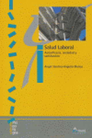 Könyv Salud laboral : autoeficacia, ansiedad y satisfacción 