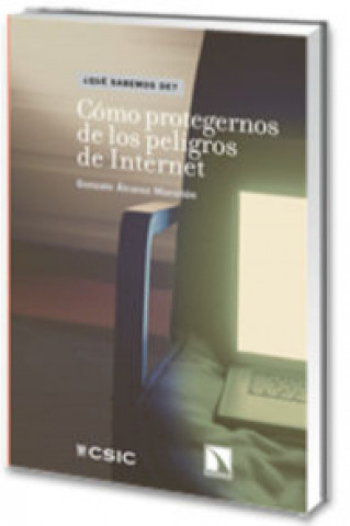 Book Cómo protegernos de los peligros de Internet 